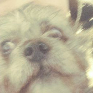 Meet your Posher, Mayleaf